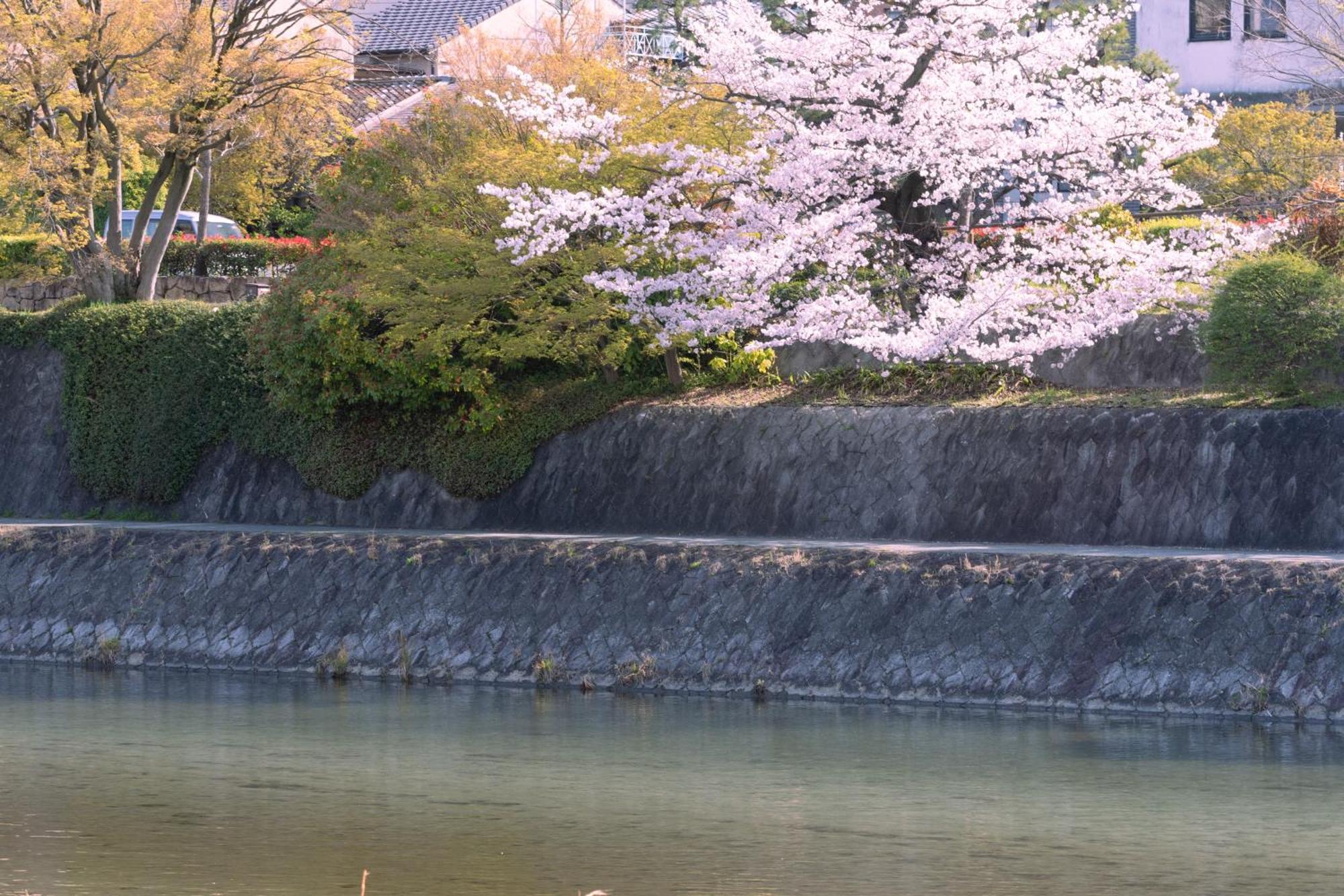 Omo5 Kyoto Sanjo By Hoshino Resorts Exterior foto