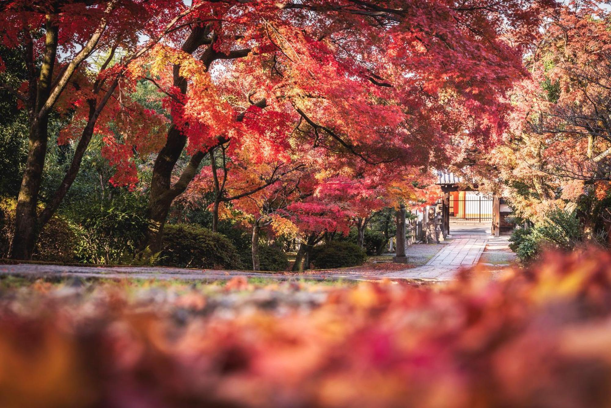 Omo5 Kyoto Sanjo By Hoshino Resorts Exterior foto